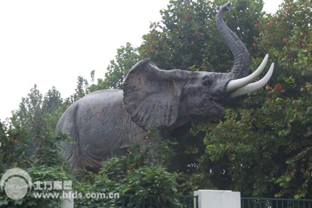 园林动物景观-大象雕塑