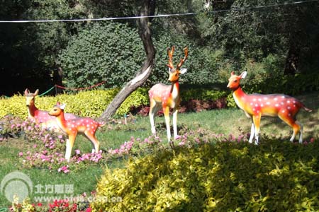 园林动物景观-梅花鹿雕塑1