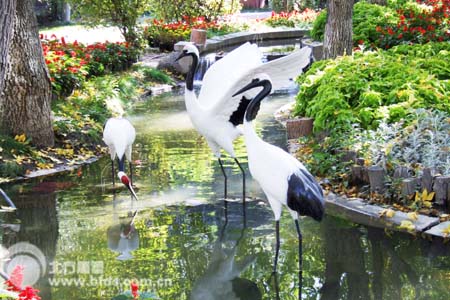 园林动物景观-优美仙鹤雕塑