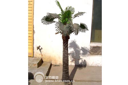 园林植物景观-椰子树雕塑