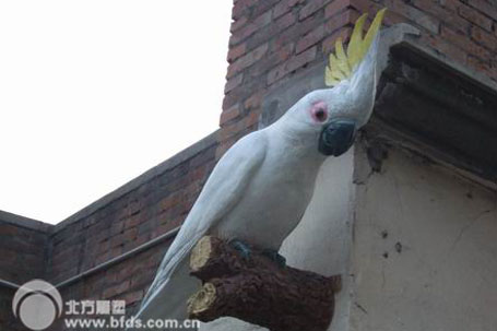 鹦鹉雕塑