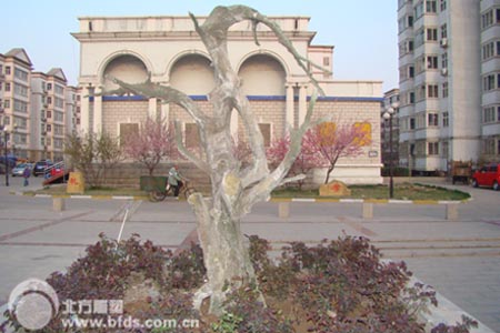 邯郸广泰枯树雕塑