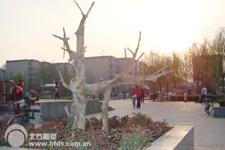 邯郸广泰枯树雕塑