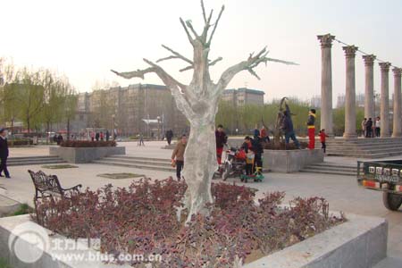 园林景观-枯树雕塑8