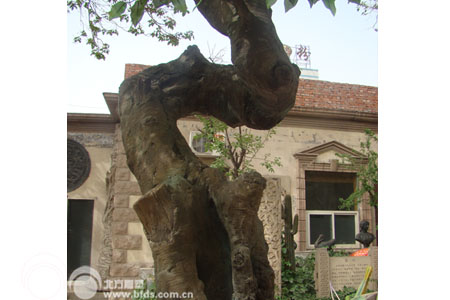 榕树雕塑