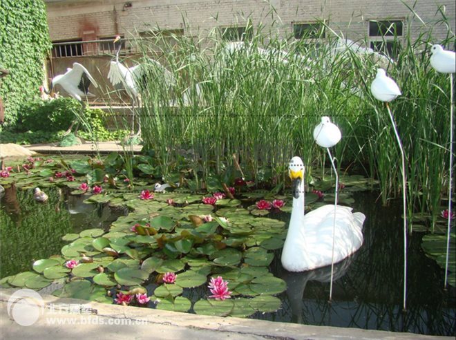 仿真水鸟、水禽雕塑、美化庭院池塘装饰品，玻璃钢树脂材质